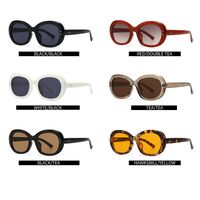Plastic sunglasses in retro oval frame Elit 27101-EL