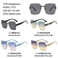 Polarized plastic sunglasses with nylon lenses NL7713