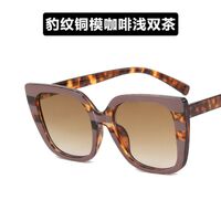 Очки пластиковые женские с защитой от синего света 13056-8804-PN