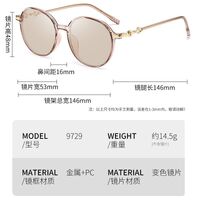 Очки пластиковые TR90 фотохромные с защитой от синего света 9729-GT