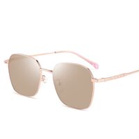 Photochromic glasses with blue light and UV protection 9684-GT