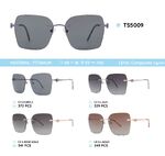 Titanium rimless frame polarized sunglasses TS5009