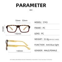 Оправа пластиковая с линзами с защитой от синего света, с флексом Elit 5743-EL