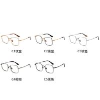 Metal pure titanium frame SANTA 纯钛S8011