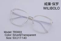 Metal +TR90 ultrathin frames with flex hinges Wilibolo TR3003