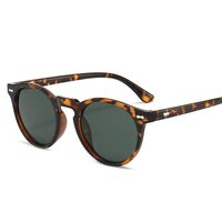 Polarized plastic sunglasses with UV400 protection 2947-2-GT