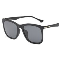 Polarized sunglasses T602