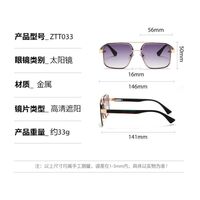 Metal retro sunglasses Elit ZTT033-EL