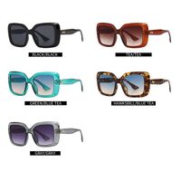 Plastic retro square sunglasses Elit 9147-EL