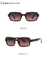 Sunglasses Elit modern retro narrow 2100