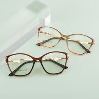 TR90 plastic frame or glasses with blue light protection, with spring hinges FA87165