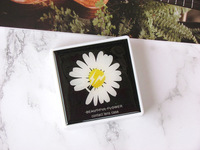 Набор для мягких контактных линз (Kits for contact lenses) FX1022Daisy