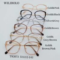 Metal + TR90 plastic ultrathin women's frames with spring hinges Wilibolo TR3073