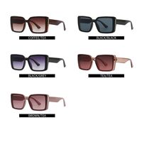 Plastic sunglasses Elit for women 9127-EL