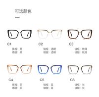 Оправа пластиковая из материала TR90 с защитой от синего света, с флексом FOCUS FCS2224