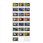 Safety shockproof sports goggles 109