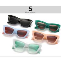 Plastic cat-eye sunglasses for women Elit 1221-EL