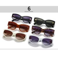 Plastic sunglasses Elit for women 9234-EL