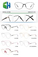 Оправа металлическая с мягким носоупором и флексом CH7500-DA