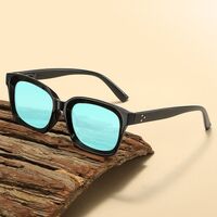 Blue Block plastic glasses with blue light protection for colorblind people, with case KY210色盲眼镜