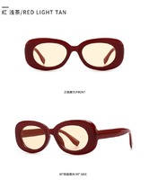 Sunglasses Elit modern retro oval 304