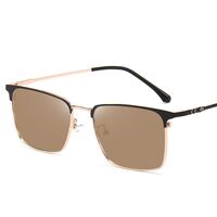 Photochromic glasses with blue light and UV protection 9661-GT