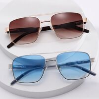 Plastic + metal retro sunglasses Elit ZTT016-EL