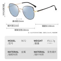 Photochromic glasses with blue light and UV protection 9672-GT