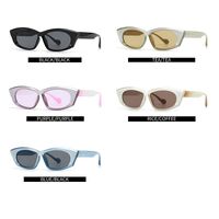 Plastic polygonal sunglasses for women Elit 1224-EL