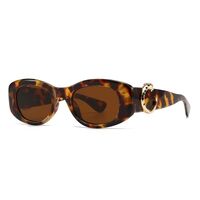 Plastic sunglasses Elit LH172-EL