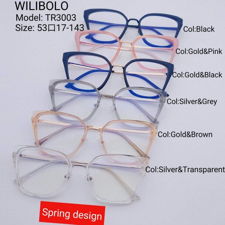 Metal +TR90 ultrathin frames with flex hinges Wilibolo TR3003