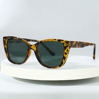 Поляризационные солнцезащитные пластиковые TR90 очки с защитой UV400 6013-GT