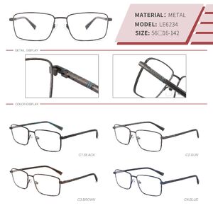 Оправа металлическая мужская LE6234-DA