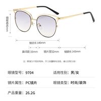 Metal sunglasses with UV400 protection 9704-2-GT