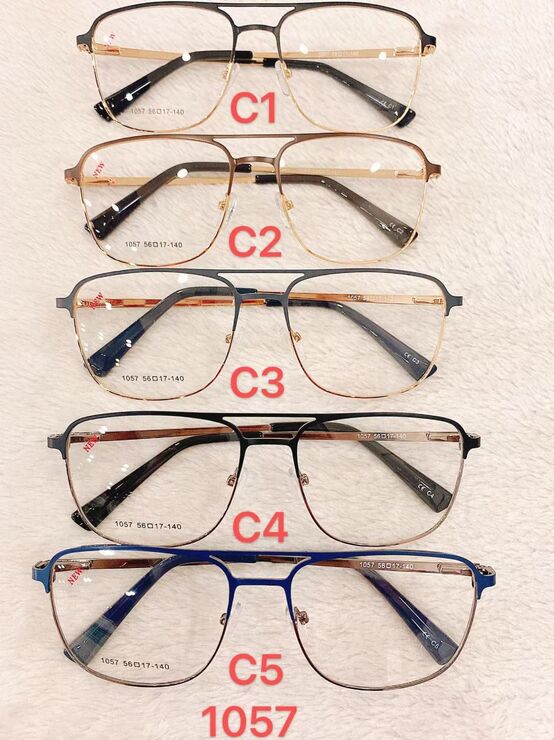 Metal frame for glasses with spring hinges Defile D1057