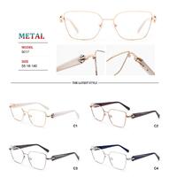 Metal frames for glasses with spring hinges Big City RD9017