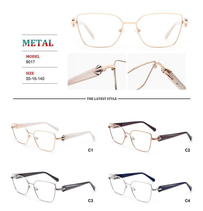 Metal frames for glasses with spring hinges Big City RD9017