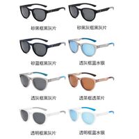 Пластиковые поляризационные мужские солнцезащитные очки в круглой оправе Elit 23G17-EL