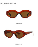 Sunglasses Elit in retro style 19053