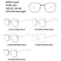 Очки защитные металлические с защитой от синего света Landi LD813