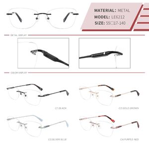 Оправа металлическая безободковая на винтах женская с флексом LE6212-DA