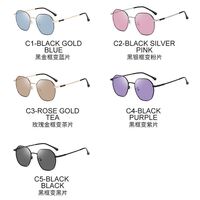 Photochromic glasses with blue light and UV protection 9673-GT