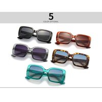 Plastic retro square sunglasses Elit 9147-EL