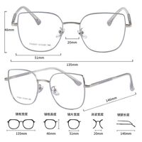 Metal frame with Blue Ray Cut protection lenses MAMO F93001
