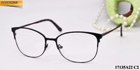 Metal frames for glasses GR17135A22