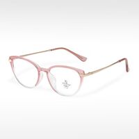 Combined frame (metal + TR90) with Blue Ray Cut protection lenses MAMO TR8220