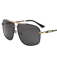 Polarized metal sunglasses with UV400 protection 2872-GT