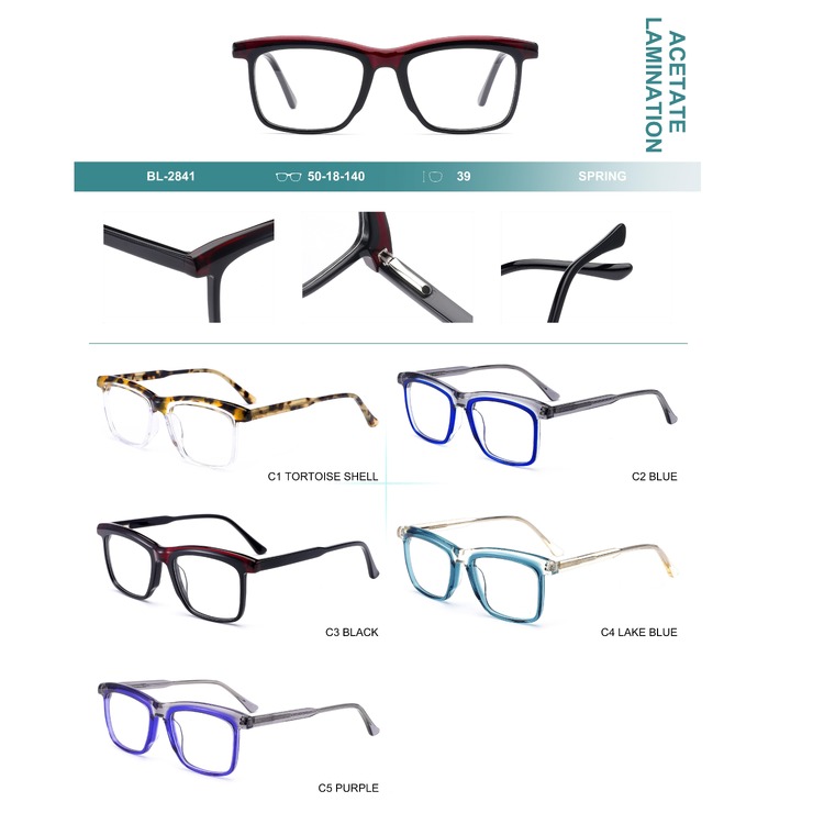 Plastic frames for glasses, acetate lamination with spring hinges Big City BL-2841