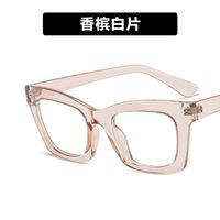 Plastic TR90 glasses with blue light protection for women TR2105-4425-PN