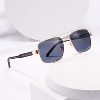 Plastic + metal retro sunglasses Elit ZTT016-EL
